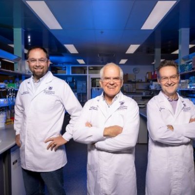 UQ researchers are buoyed by investment in promising heart attack treatment. (Left to right, Associate Professor Nathan Palpant, Associate Professor Mark Smythe and Professor Glenn King). Supplied.